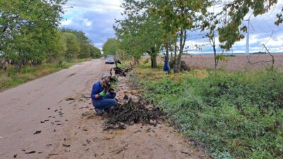 Foto des Albums: Projekt 