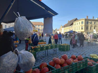 Foto des Albums: Kartoffel-Erlebnismarkt 