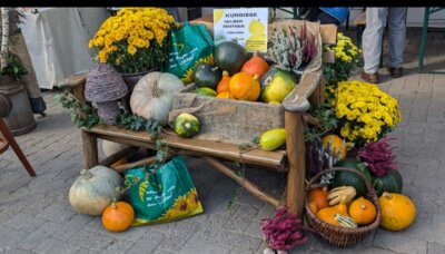 Foto des Albums: Bauernmarkt Aschwarden (12. 10. 2024)