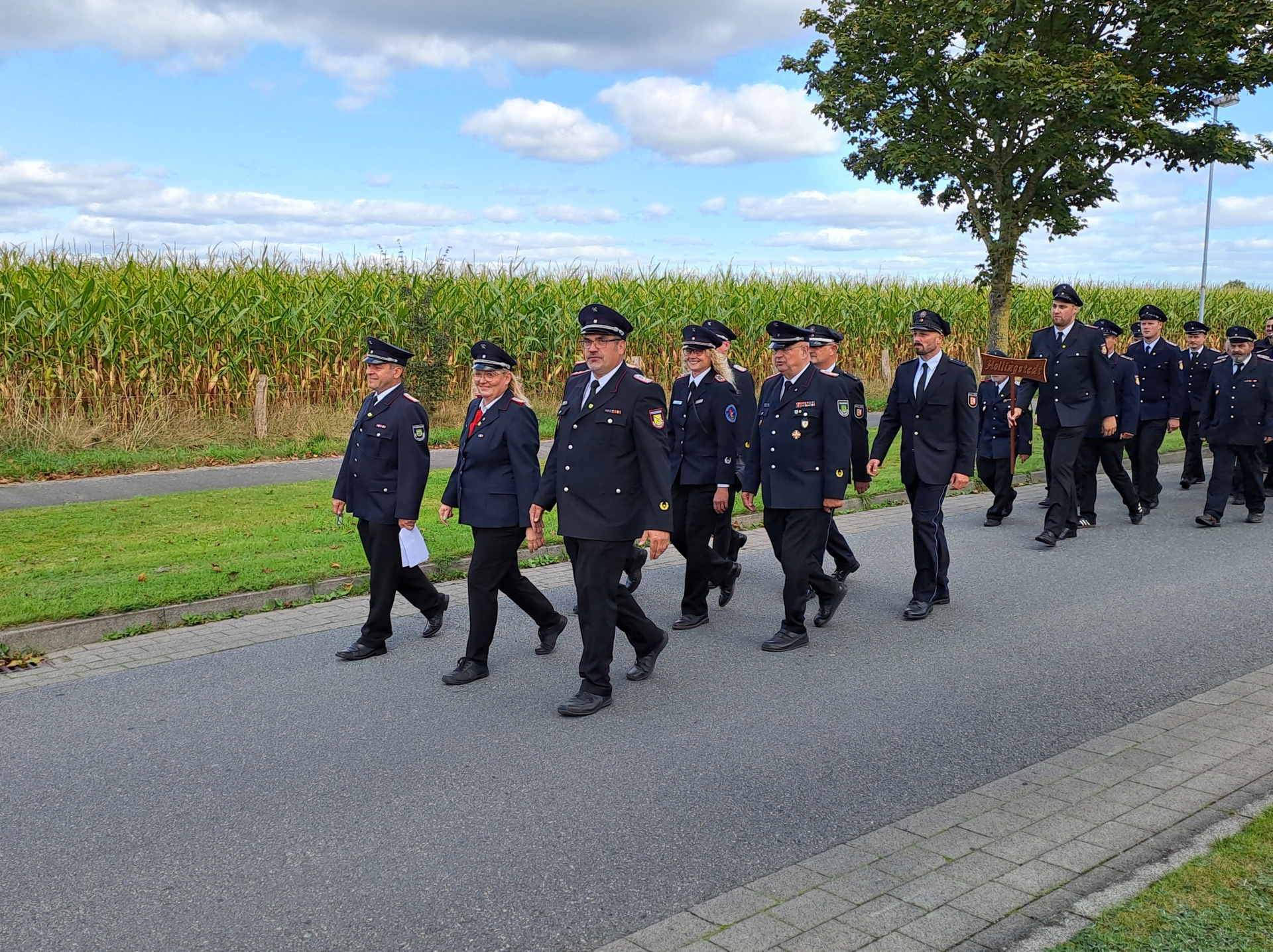 Bild: Umzug durch Hollingstedt