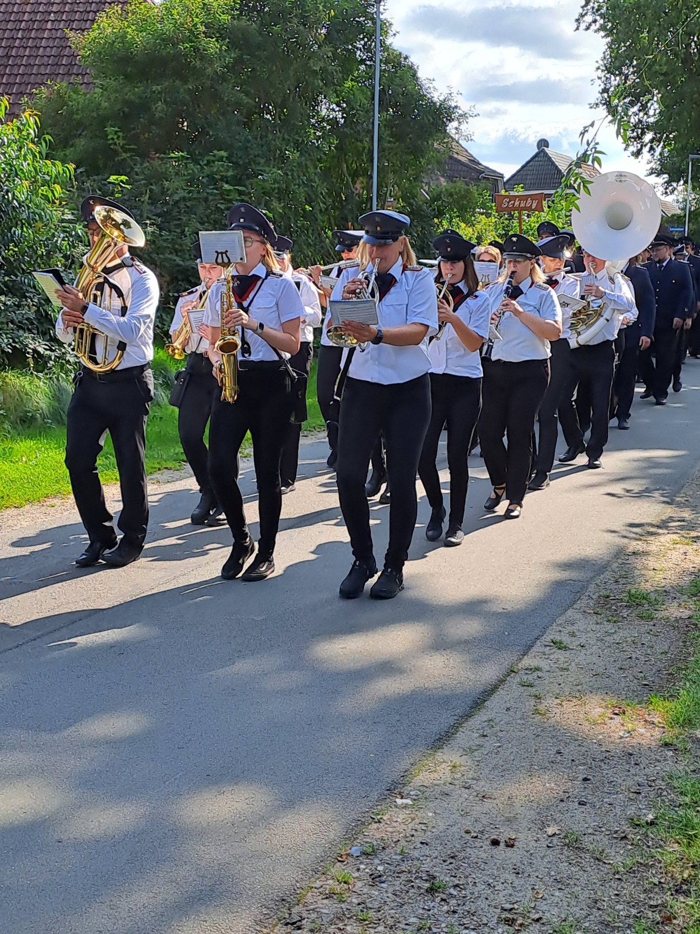 Bild: Umzug durch Hollingstedt