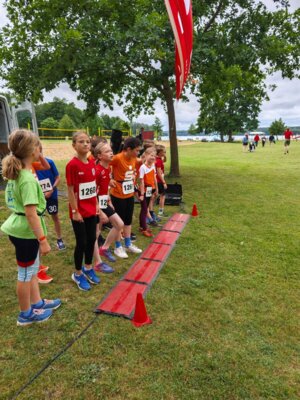 Foto des Albums: 1. Angermünder Wiesel Sommer Crosslauf