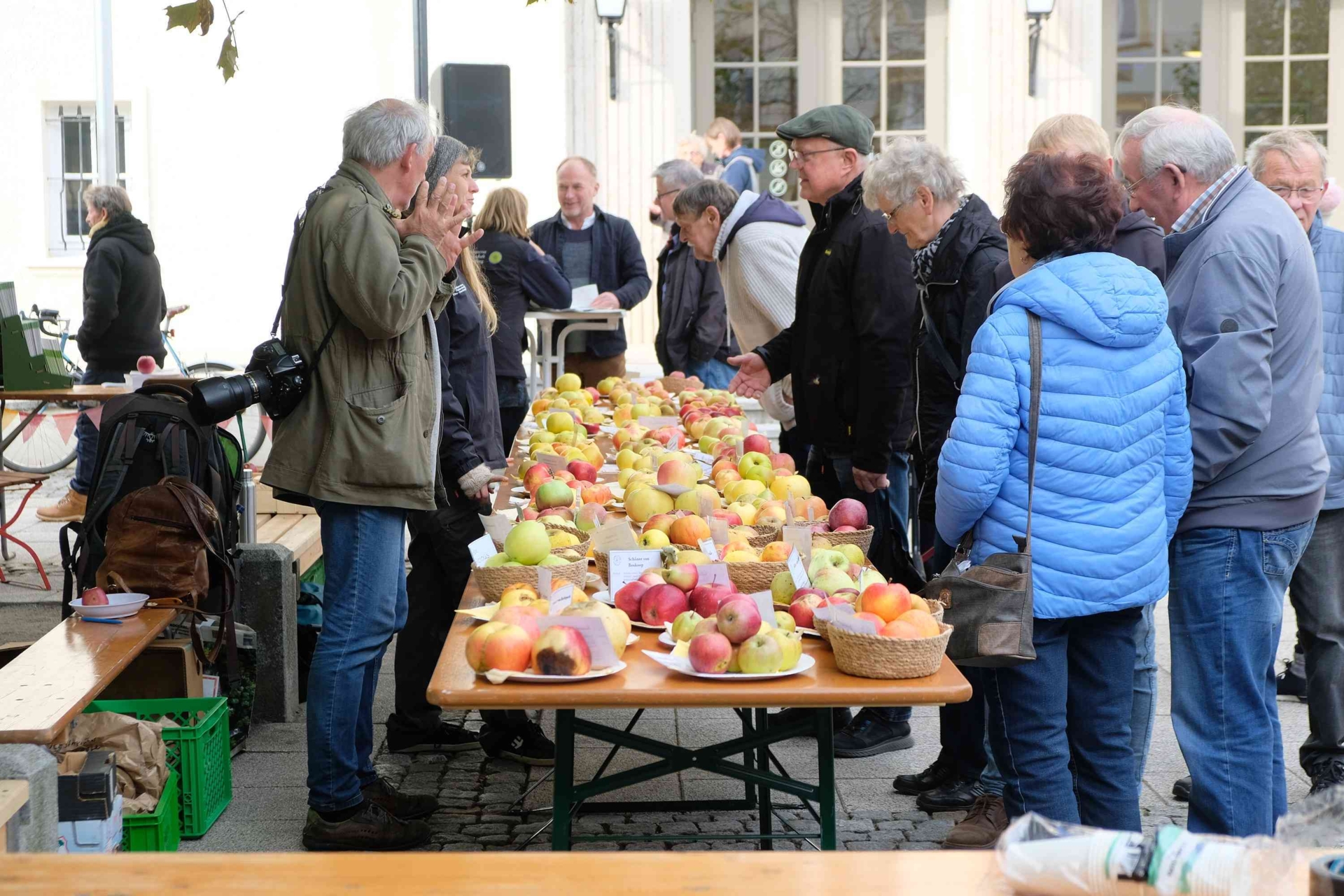 Bild der Galerie