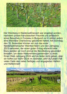 Foto des Albums: Weinlese 2024 im deutsch-französischen Weinberg (15. 10. 2024)