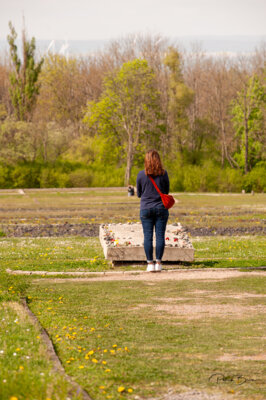 Foto des Albums: Die Befreiung vor 79 Jahren, 14. und 15. April 2024