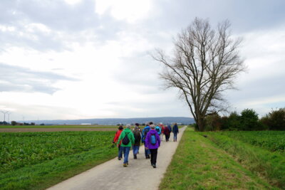 Am Horizont der DEISTER  (Bild vergr&ouml;&szlig;ern)