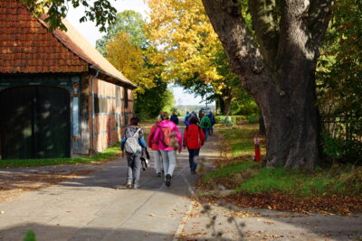 Herbst von seiner sch&ouml;nen Seite  (Bild vergr&ouml;&szlig;ern)