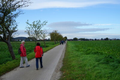 Richtung Waltringhausen  (Bild vergr&ouml;&szlig;ern)
