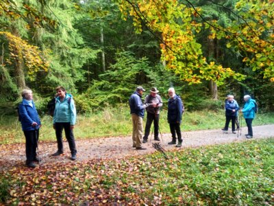 Kurze Verschnaufpause  (Bild vergr&ouml;&szlig;ern)