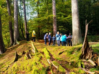 Am Hilsbornteich  (Bild vergr&ouml;&szlig;ern)