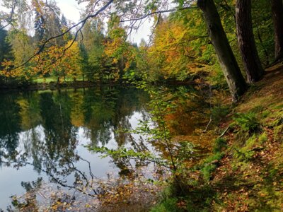 Hilsbornteich  (Bild vergr&ouml;&szlig;ern)