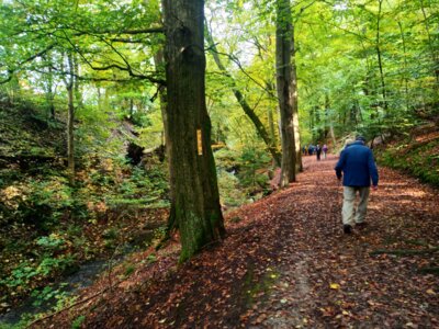 Im Tal des Glasebachs  (Bild vergr&ouml;&szlig;ern)