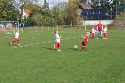 Foto des Albums: Bambiniturnier 2024