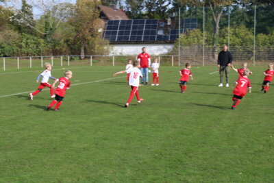 Foto des Albums: Bambiniturnier 2024