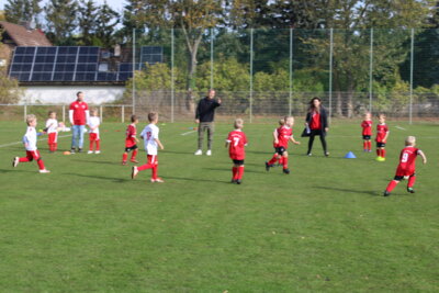 Foto des Albums: Bambiniturnier 2024