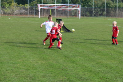 Foto des Albums: Bambiniturnier 2024