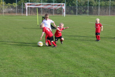 Foto des Albums: Bambiniturnier 2024