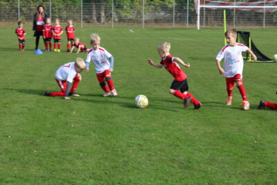 Foto des Albums: Bambiniturnier 2024