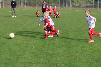 Foto des Albums: Bambiniturnier 2024