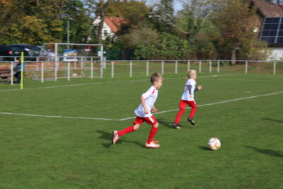 Foto des Albums: Bambiniturnier 2024