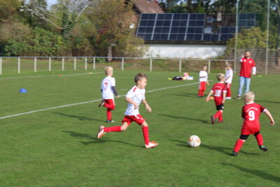 Foto des Albums: Bambiniturnier 2024