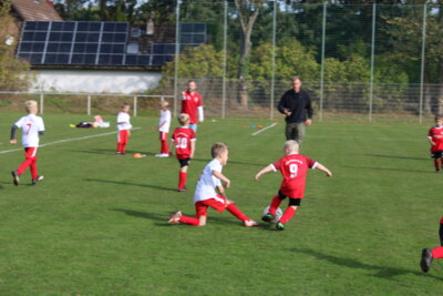 Foto des Albums: Bambiniturnier 2024