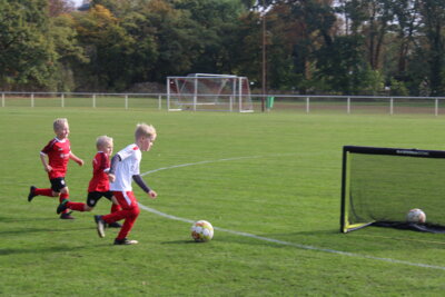 Foto des Albums: Bambiniturnier 2024