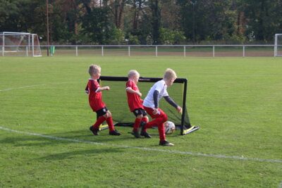 Foto des Albums: Bambiniturnier 2024