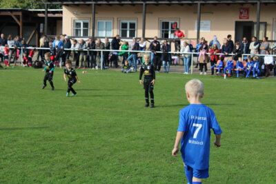 Foto des Albums: Bambiniturnier 2024
