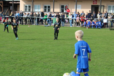 Foto des Albums: Bambiniturnier 2024