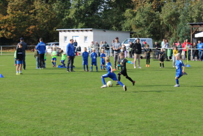 Foto des Albums: Bambiniturnier 2024