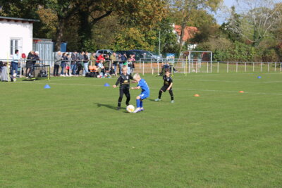 Foto des Albums: Bambiniturnier 2024