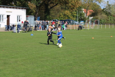 Foto des Albums: Bambiniturnier 2024
