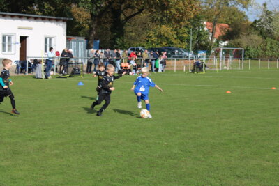 Foto des Albums: Bambiniturnier 2024
