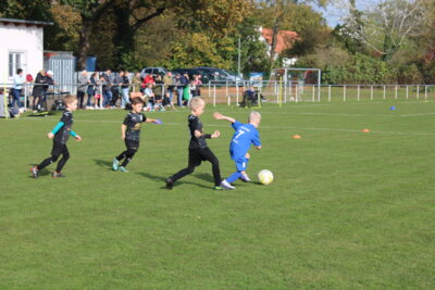Foto des Albums: Bambiniturnier 2024