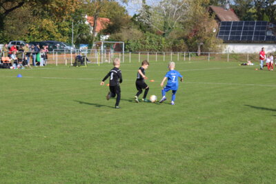 Foto des Albums: Bambiniturnier 2024