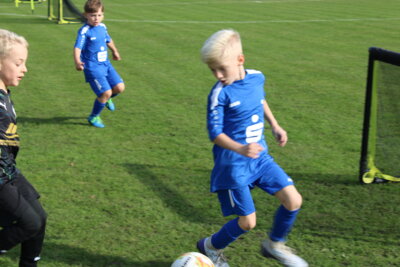 Foto des Albums: Bambiniturnier 2024