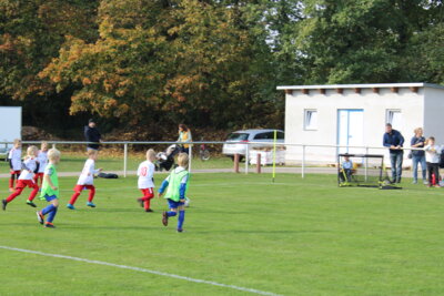 Foto des Albums: Bambiniturnier 2024