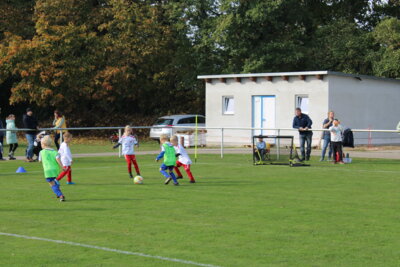 Foto des Albums: Bambiniturnier 2024