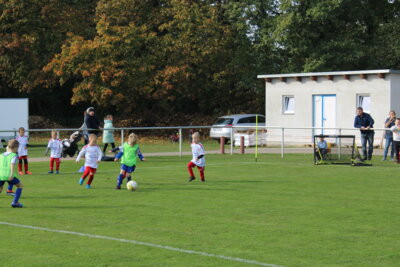 Foto des Albums: Bambiniturnier 2024