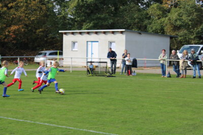 Foto des Albums: Bambiniturnier 2024