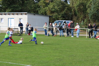 Foto des Albums: Bambiniturnier 2024