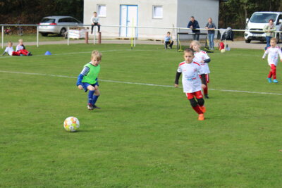 Foto des Albums: Bambiniturnier 2024
