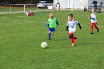Foto des Albums: Bambiniturnier 2024