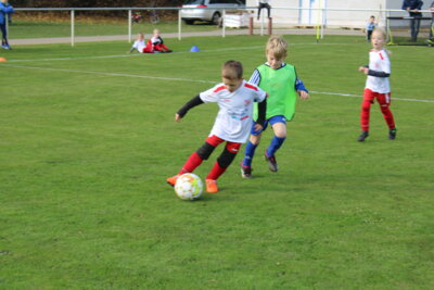 Foto des Albums: Bambiniturnier 2024