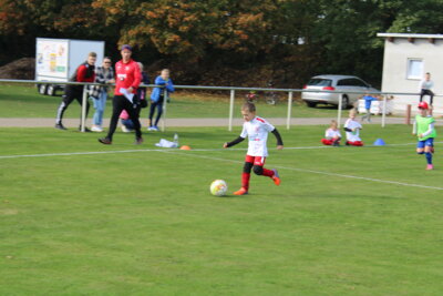 Foto des Albums: Bambiniturnier 2024