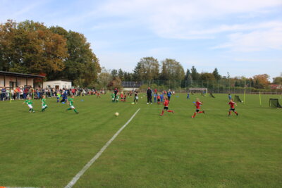 Foto des Albums: Bambiniturnier 2024