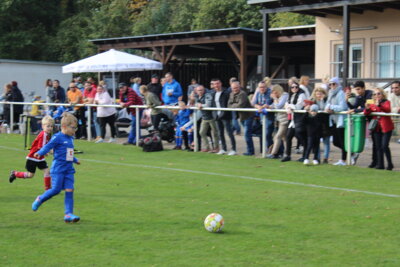 Foto des Albums: Bambiniturnier 2024