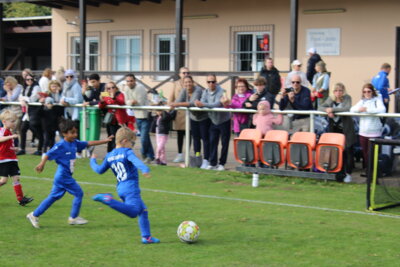 Foto des Albums: Bambiniturnier 2024