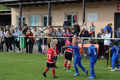 Foto des Albums: Bambiniturnier 2024